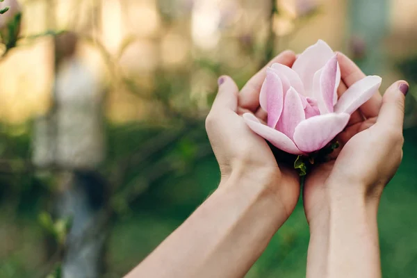 Květ Magnolie v rukou ženy — Stock fotografie