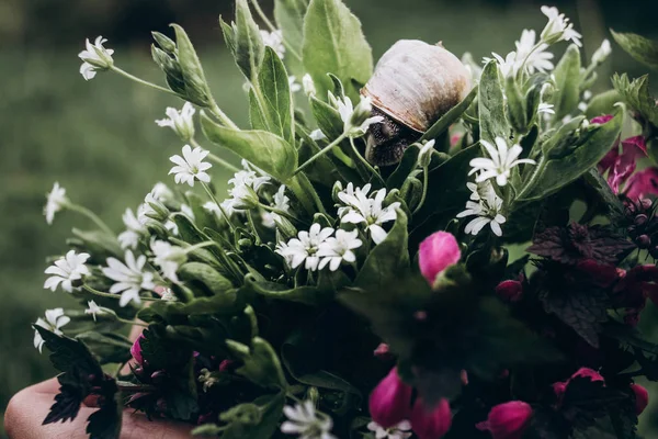 Snail crawling on colorful bouquet — Stock Photo, Image