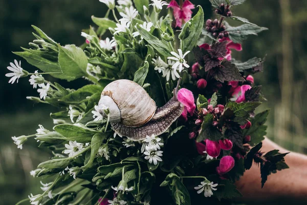 Snail crawling on colorful bouquet — Stock Photo, Image