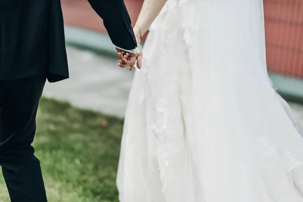 Casamento casal de mãos dadas — Fotografia de Stock