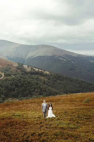 Νύφη και ο γαμπρός που ποζάρουν στα βουνά — Φωτογραφία Αρχείου