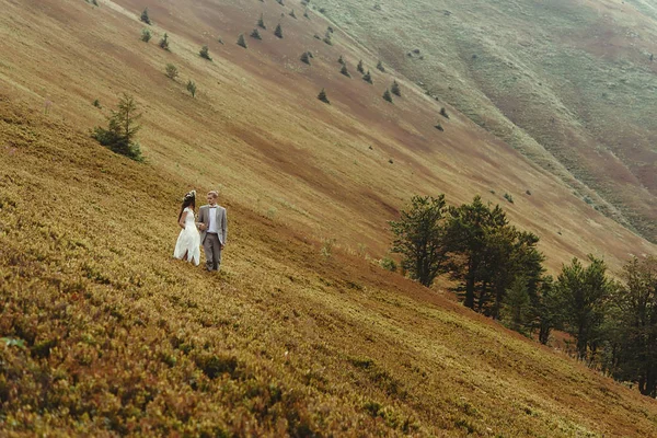 Наречений і наречений гуляють в горах — стокове фото