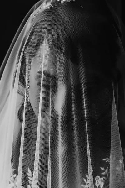 Retrato de novia bajo velo —  Fotos de Stock