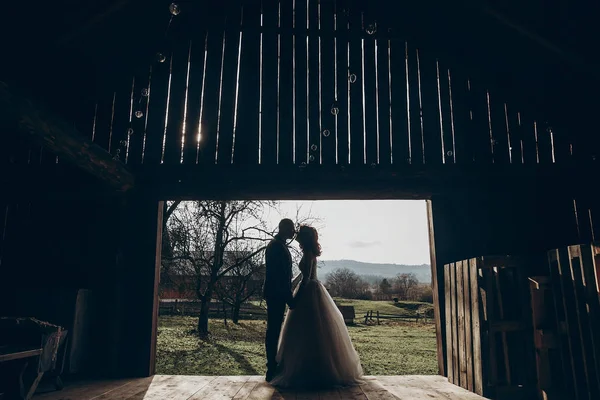 Silhouette of kissing couple — Stock Photo, Image