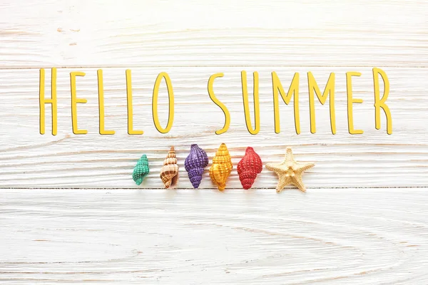 Hello summer text and colorful seashells — Stock Photo, Image