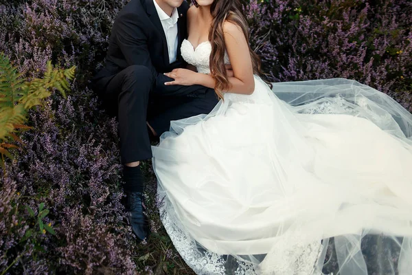 Felice sposa elegante e sposo — Foto Stock
