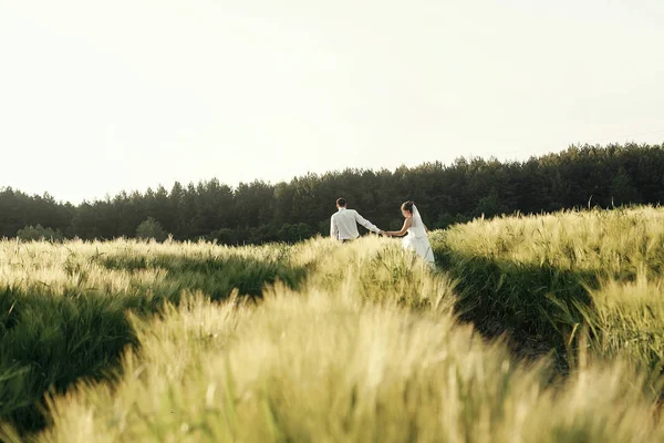 Γαμήλιο ζευγάρι περπάτημα στο πεδίο σιτάρι — Φωτογραφία Αρχείου