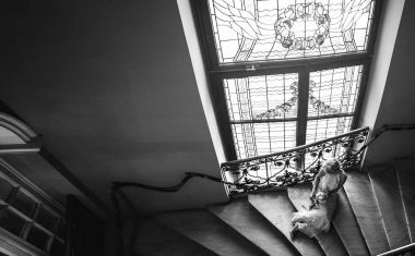 Lüks Düğün çifti