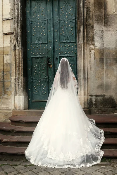 Splendida sposa indietro — Foto Stock