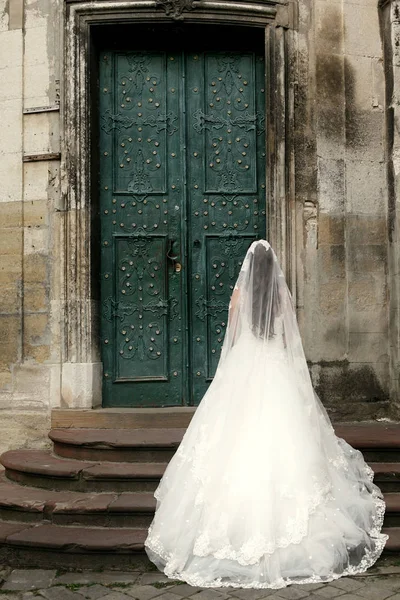 Великолепная невеста — стоковое фото