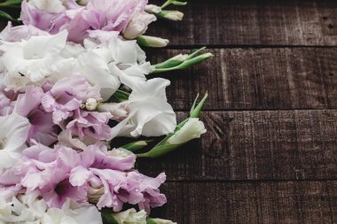 güzel pembe ve beyaz Glayöl