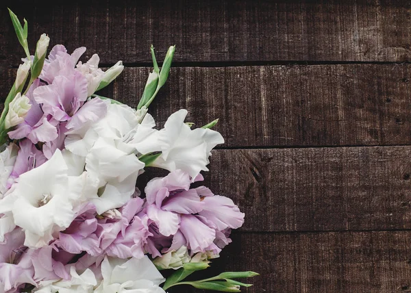 Greeting card with color gladioluses — Stock Photo, Image