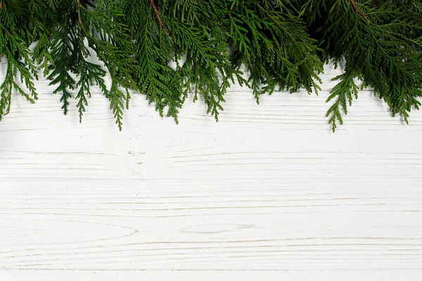 Noel ağacı dalları