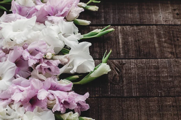 Gladíolos rosa e branco bonito — Fotografia de Stock