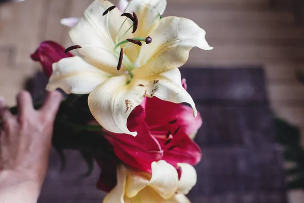 Mano che tiene fiori di giglio — Foto Stock