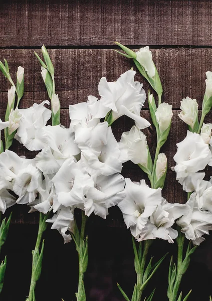 Gladioluses putih di latar belakang kayu — Stok Foto