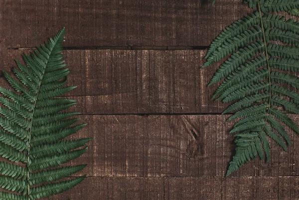 Зелене листя на дерев'яній текстурі — стокове фото