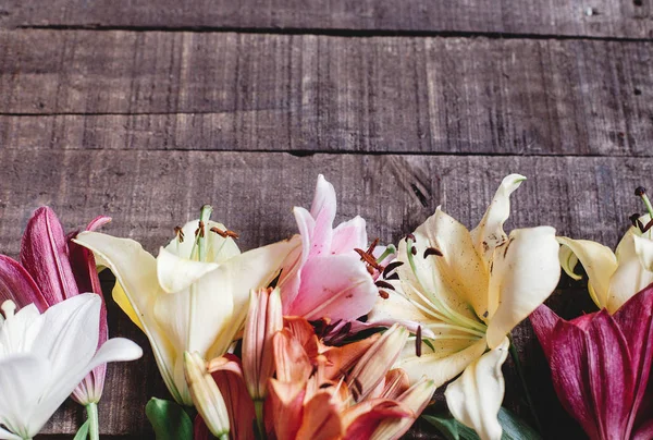 Fundo de primavera com flores de cor — Fotografia de Stock