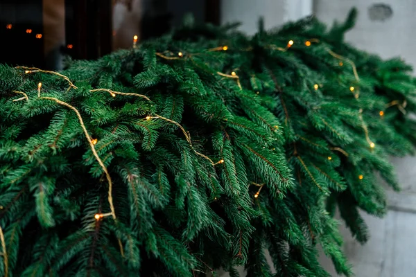 Garland Kerstverlichting op pine — Stockfoto