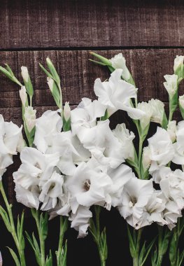 ahşap arka plan üzerinde beyaz Glayöl