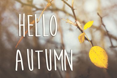 Merhaba sonbahar metin sarı yapraklarda