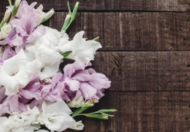 pembe ve beyaz Glayöl 