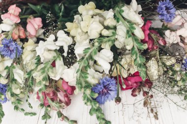 Beyaz arka plan üzerinde renkli çiçekler