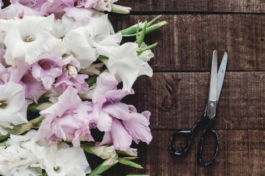 makas ve pembe ve beyaz Glayöl 