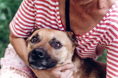 kadın kucaklama melez köpek