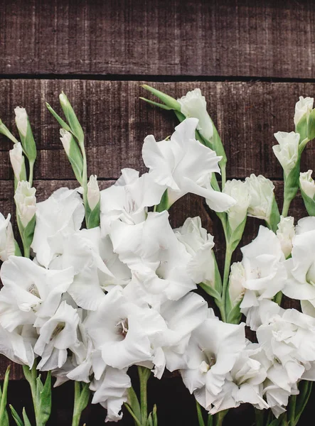 Gladioluses λευκό σε φόντο ξύλινη — Φωτογραφία Αρχείου