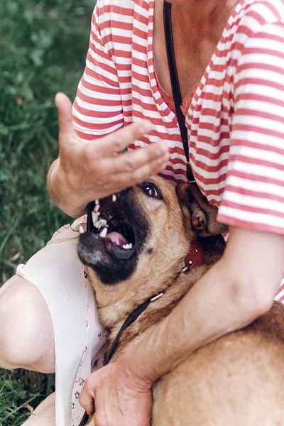 Propriétaire femelle jouant avec chien — Photo