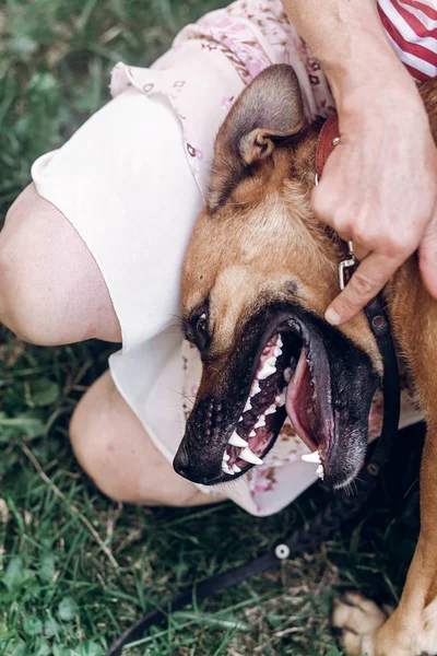 Woman showing dog's teeth — Stock Photo, Image