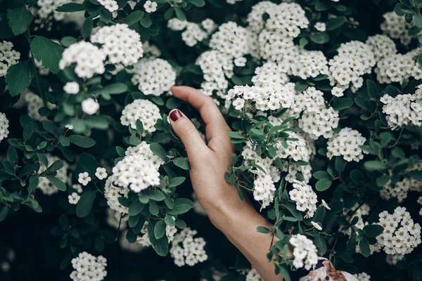 Hand holding blooming branch — Stock Photo, Image