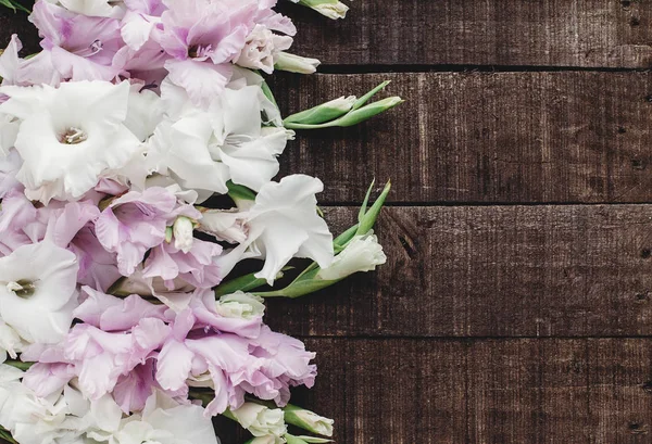 Gladioli rosa e bianchi — Foto Stock