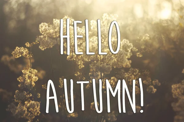 Hola otoño otoño texto —  Fotos de Stock