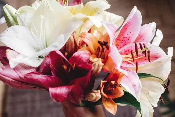 Flores de lírio coloridas — Fotografia de Stock