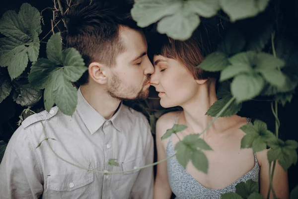 Casal beijando em folhas verdes — Fotografia de Stock