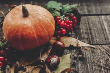 rahat sonbahar kartı