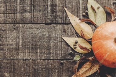 kabak, çilek ve sonbahar yaprakları
