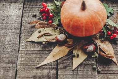 kabak, yaprak, kestane ve çilek 