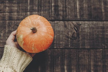 Kabak tutan süveterin içinde el