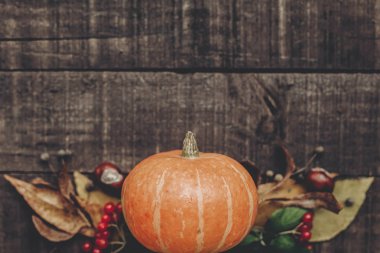 kabak, yaprak, kestane ve çilek 