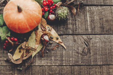 sonbahar turuncu kabak kartıyla