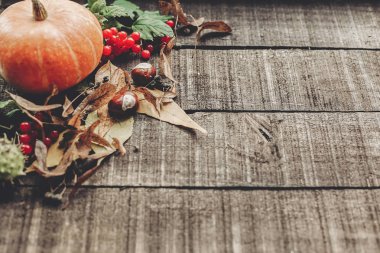 sonbahar turuncu kabak kartıyla