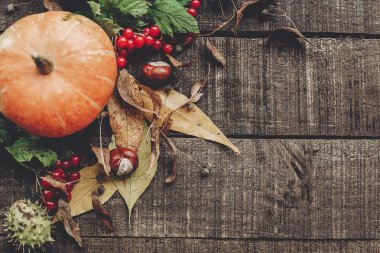 sonbahar turuncu kabak kartıyla