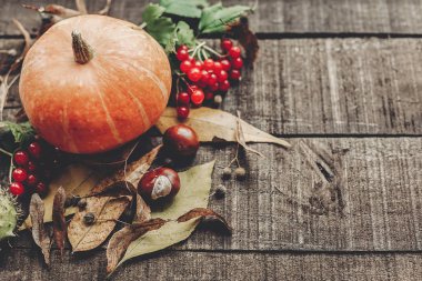 kabak, kızılcık ve sonbahar yaprakları