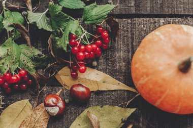 kabak, yaprak, kestane ve çilek