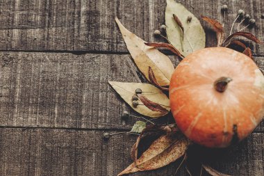 Sonbahar konsept fotoğraf