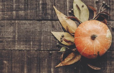 Sonbahar konsept fotoğraf