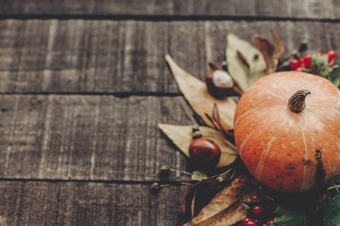 Sonbahar doğa arkaplanı 